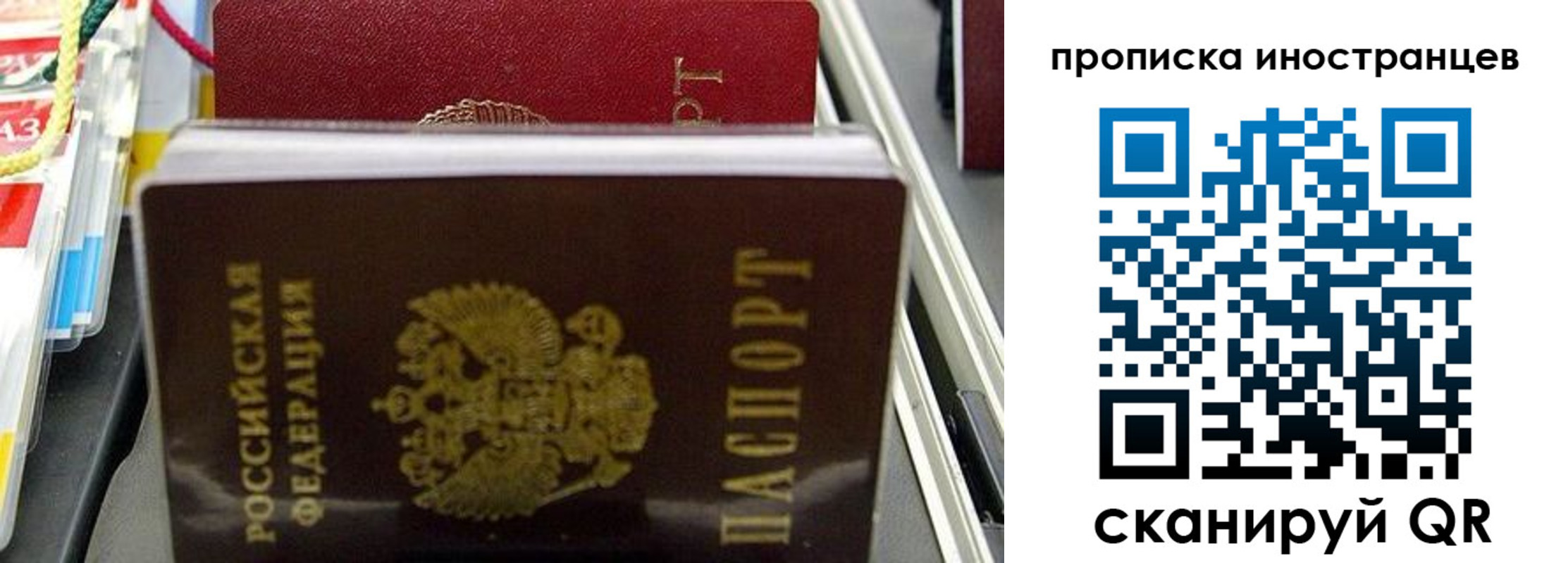 прописка для школы в Белой Калитве